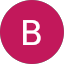 Barb S Avatar